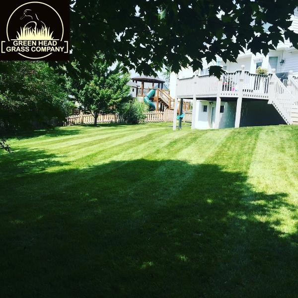 Green Head Grass Company LLC
