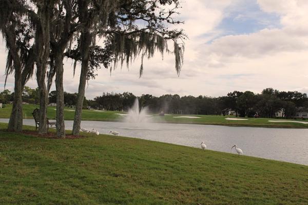 Greenside Lawn Care LLC