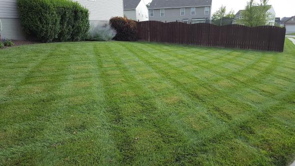 Diamond Cut Lawns Inc.