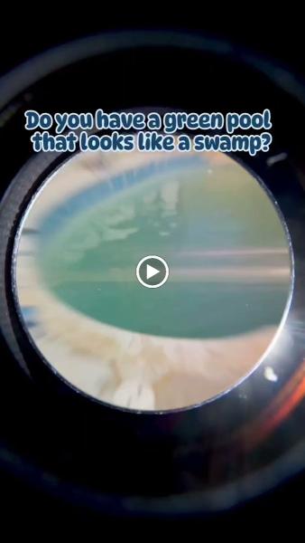 Test the Waters Pool Service