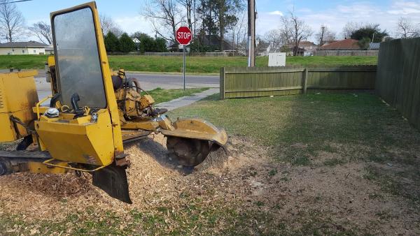 Hank's Stump Grinding