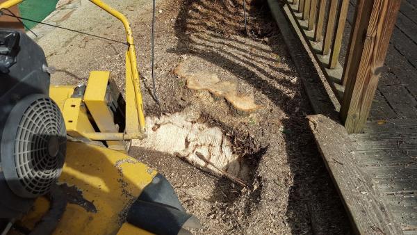 Hank's Stump Grinding
