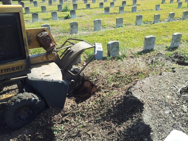 Hank's Stump Grinding