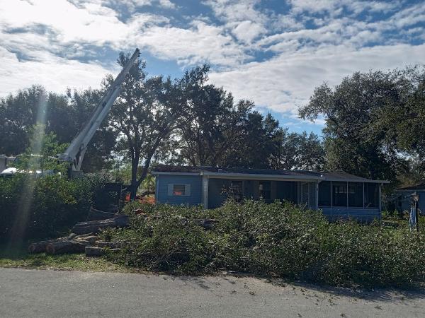 Central Florida Tree Service