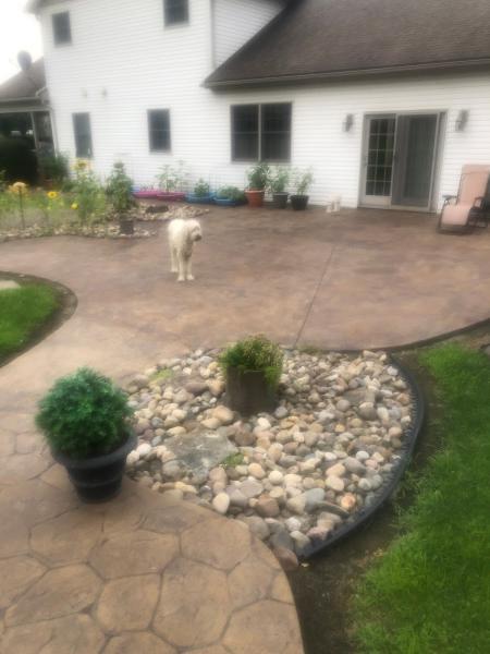 Xstreamclean Pressure Wash Pro's