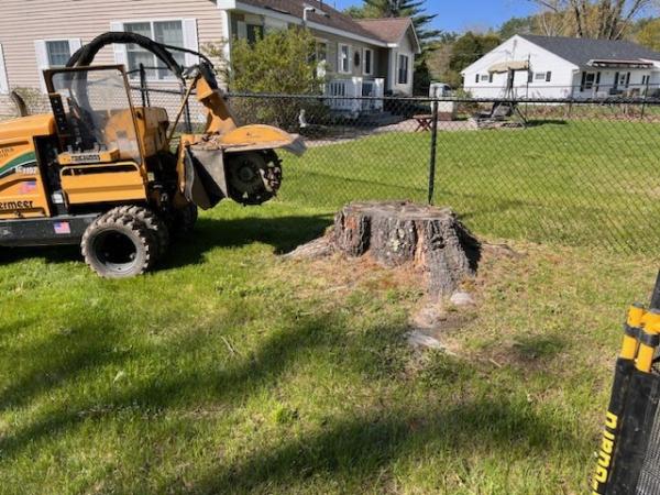 J. Messina Stump Grinding