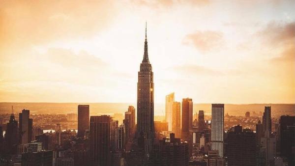 Ecowise Pest Control NYC