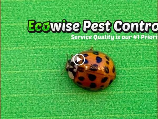 Ecowise Pest Control NYC