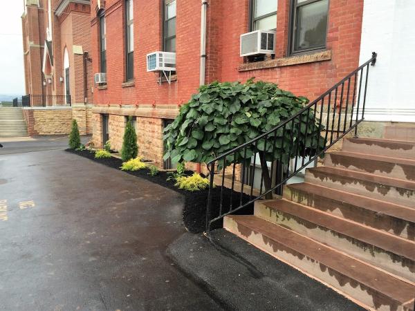Paramo Landscaping