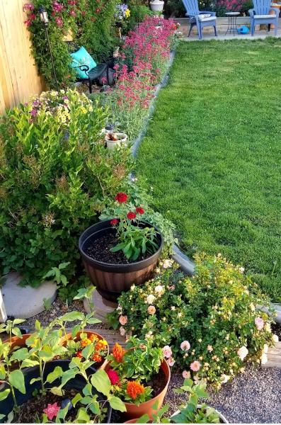 Soiltek Organic Solutions
