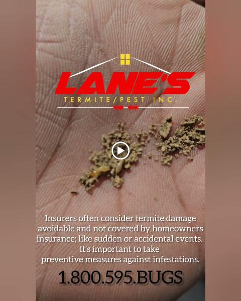 Lane's Termite/Pest Inc