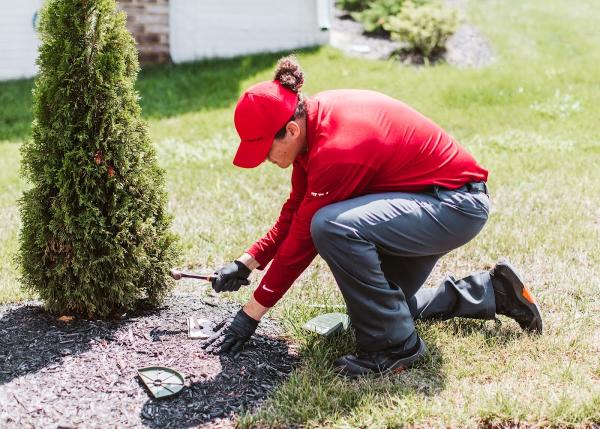Frontline Pest Control
