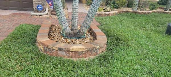 TLS Lawn & Tree Service