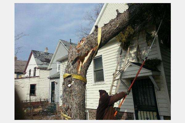 Omars Tree Service