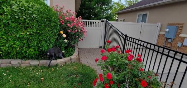Singleton Fence