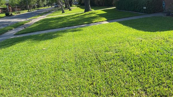 Cut & Go Lawn Care