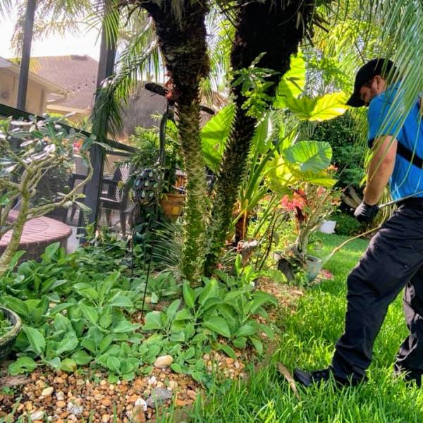 Taps Pest Services Pllc