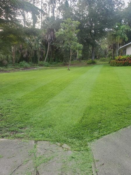 Green Smart Lawn & Pest