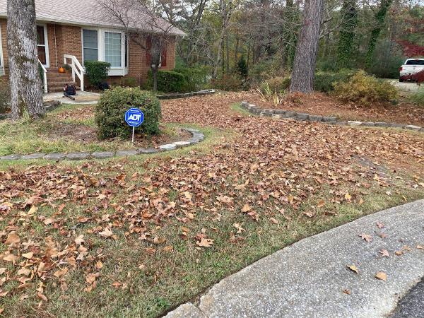 Newton Lawn Services