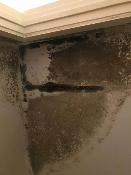 Sawgrass Home Solutions