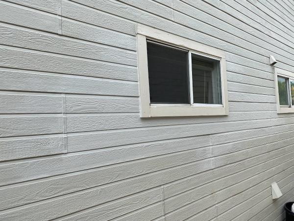 Bellwether Windows