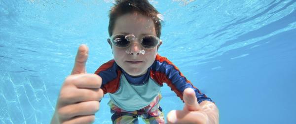 Dolphins Pool Service
