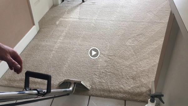 Clear Water Carpet Cleaning