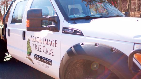 Arbor Image Tree Care