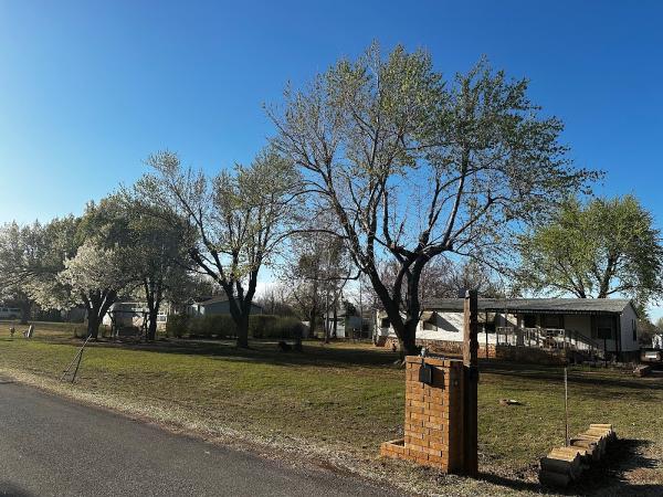 Arbor Image Tree Care