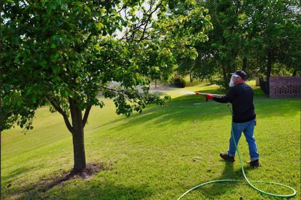 Arbor Image Tree Care