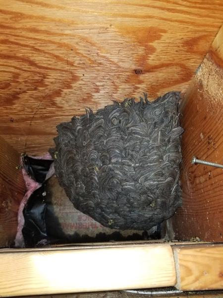 Kaptar Environmental Pest Control Services