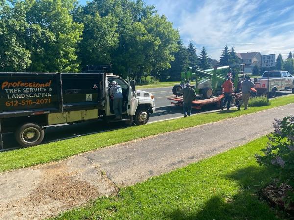 Maximum Tree Service & Landscaping