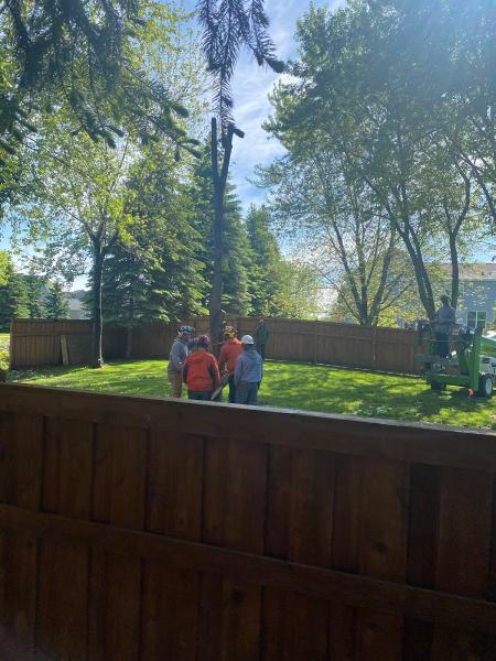 Maximum Tree Service & Landscaping