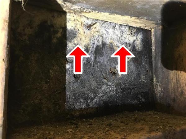 Freedom Home Inspections