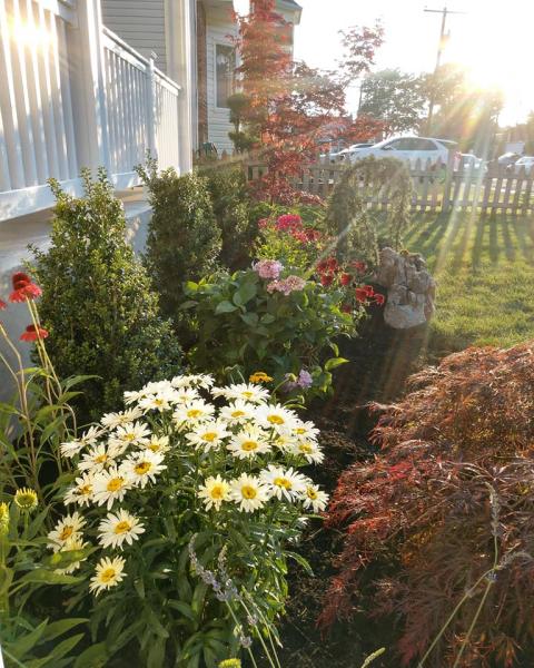 Augeri's Landscape & Design