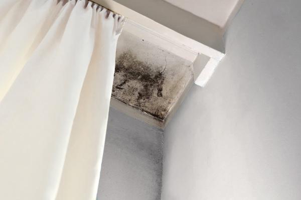 Orange County Restoration Services