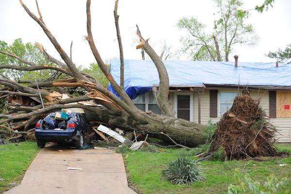Peoria Tree Service
