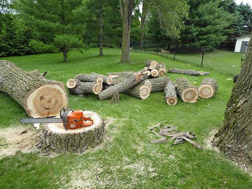 Peoria Tree Service