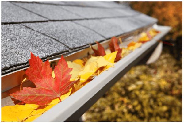 The Columbus Gutter Company