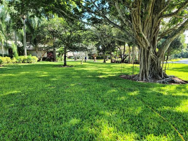 Hoffer Pest Solutions