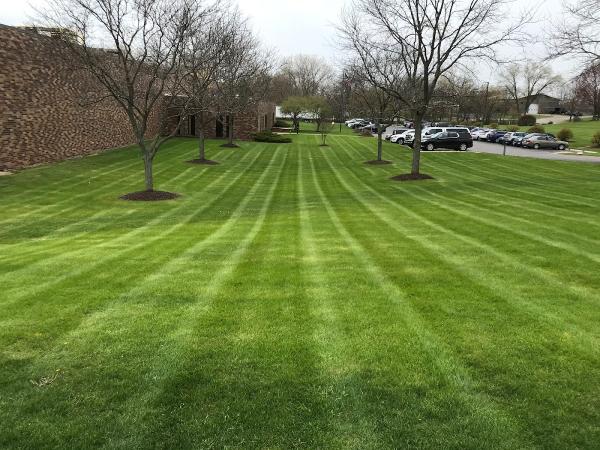 Epic Lawns and Landscapes
