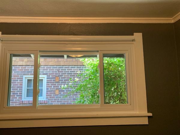 Window Doctor