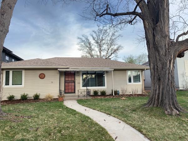 Window Doctor