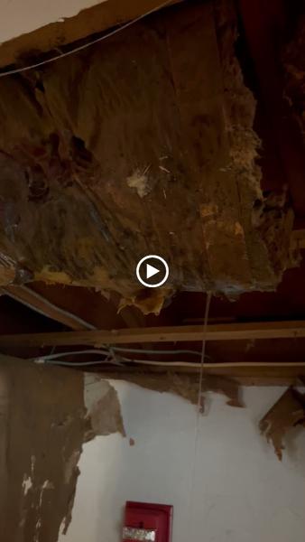 All Pro Restoration LLC