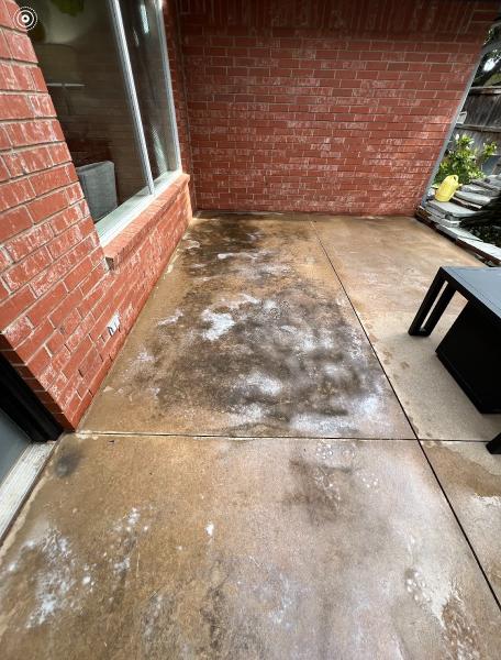 Exterior Cleaning Professionals
