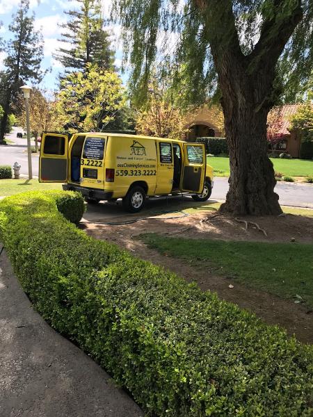 AEA Carpet Cleaning