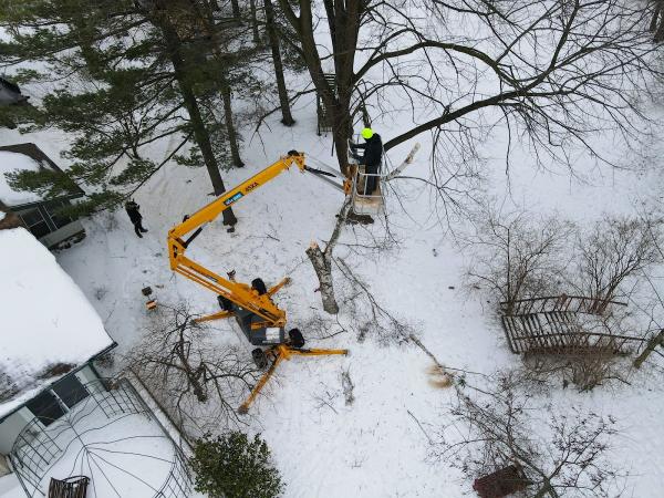 Certified Tree Service