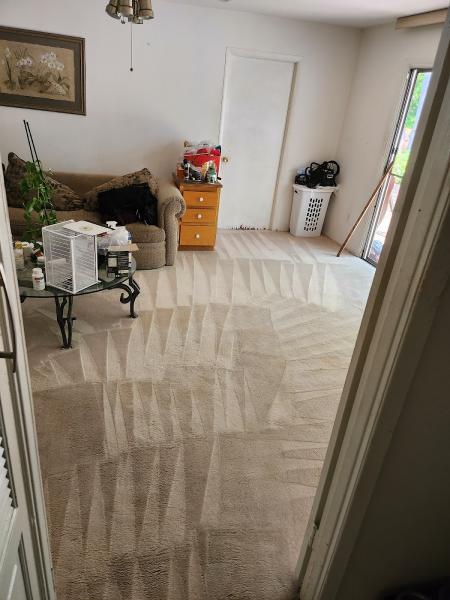 OMA Professional Cleaning Technicians