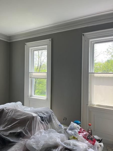 Multicolor Painters LLC
