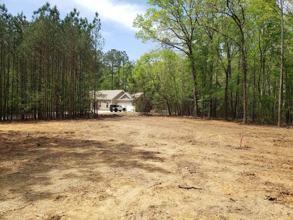 Professional Lot Clearing & Tree Service